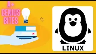 Linux Quiz | 30 Essential Linux Commands & Concepts
