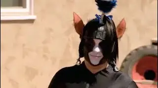 Furry and Fetish cringe