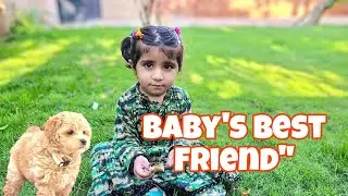 Baby's Best Friend cute story
