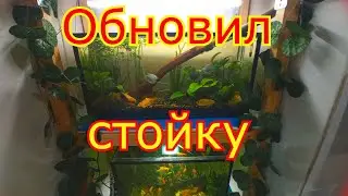 Изменение на стойке с аквариумами