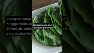 Daun Sirih: Pengusir Nyamuk Alami yang Aman 