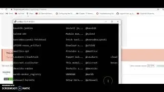 11 - Puppet module installation offline and online with puppet forge site
