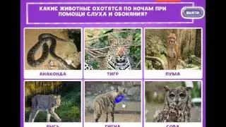 ОТВЕТЫ игра "В мире животных-2" 11, 12, 13, 14, 15, 16, 17, 18, 19, 20 уровень. одноклассники.