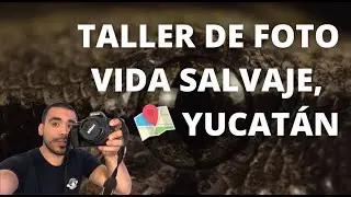 Como es tomar un taller de Fotografía de vida salvaje en Mérida, Yucatán (Mi experiencia) 2023