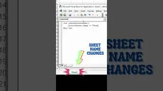 How to change the Sheet name by using VBA | Visual Basic Application