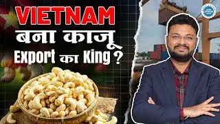 वियतनाम में काजू का व्यापार - काजू का आयात और निर्यात कैसे करें? | (पूरा सफेद) W180 - $9 प्रति कि...