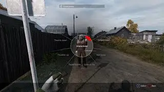 DayZ