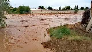 Уяли. Сел  бисёри бад омад