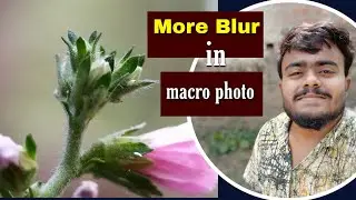 How to get more Blur in Macro photography | Mobile Macro Baisc Tips for all
