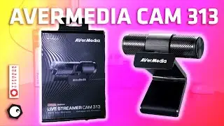 Avermedia CAM 313 Review - Best Under 100 Webcam? Should You Buy?