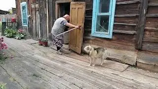 деревня