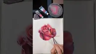 Роза акварелью