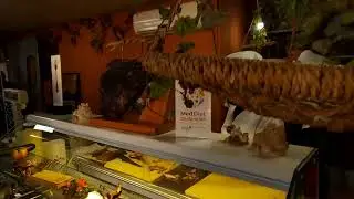 лучший магазин копченостей на кипре. агрос