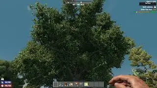 WhyIHateVanillaTrees