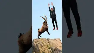 🤔 HOW TO SURVIVE A MOUNTAIN GOAT ATTACK 🐐
