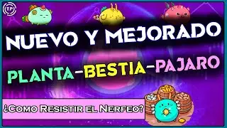 Planta - Bestia - Pájaro RENOVADO! // El combo más balanceado de AXIE INFINITY en PRECIO-CALIDAD
