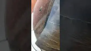 запасной авто ключ с озоновского бланка своими руками .