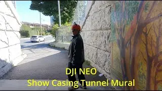 DJI NEO Show Casing Tunnel Mural #djineo #flydji #mural