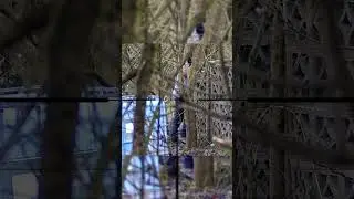 Airsoft Cheater Shot In The B*lls #airsoft #karma