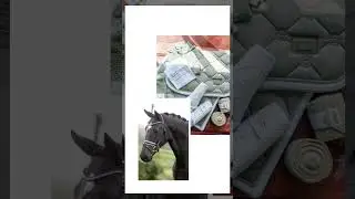 choose your horse discipline #horse #choose #discipline #horsediscipline #western #english #dressage