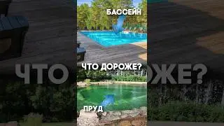 Что дороже: пруд или бассейн?