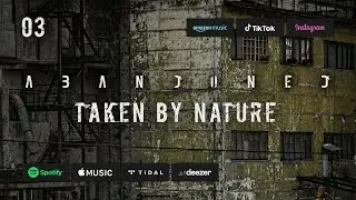 ALTERMORE - Taken By Nature