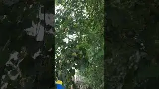 будьте осторожны с этими людьми