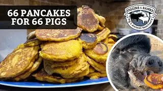 National Pig Day Pancake Party
