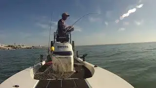Corvinas - Pescar nunca foi tão simples - Fishing has never been so simple