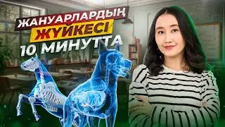 Жануарлардың жүйкесі 10 минутта | ҰБТ Биология