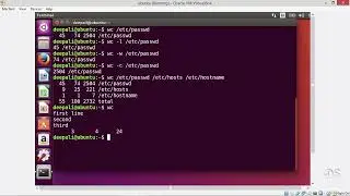 Linux Command Line, Bash Shell, Scripting AWK & SED on Linux [Start Writing Commands]