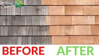 How Much Should You Expect To Spend On a Cedar Shake Roof Cleaning?