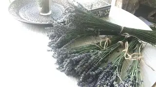 Мой «цветочный рай»