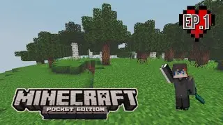Let's Play Minecraft-My First Diamonds: MCPE Survival Series Ep.1