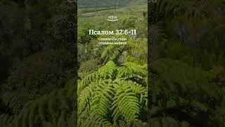 Псалом 32:6-11 современный перевод Библии #shorts