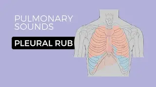 05 _ Lung Sounds - Pleural friction rub 🎧