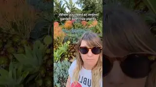 Garden of free plants? I did it! & made this channel about it! 😅 #plants #freeplants #gardeningtips