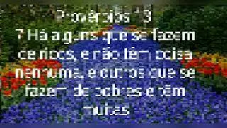 Dia de Reflexões.
