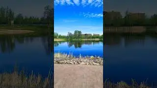 Прекрасной погоды Вам Г.О. Дубна 16 мая 2024 г. 