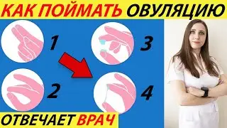 WHAT IS OVULATION, HOW TO DEFINIT (TEST)! WHAT DAY OF THE CYCLE HAPPENS, CALCULATE HOW LONG