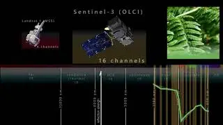 The Spectral Resolution
