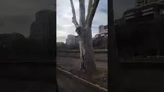 Тбилиси Набережная ,,#3