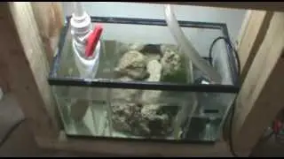 How To: Set A Saltwater Quarantine Tank