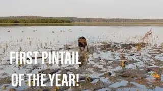 Cleaning Up Other People's Trash || Waterfowl Hunting 2024