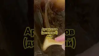 Архангелов (дягилевый) мёд - с горчинкой, с кислинкой, с коньячинкой! Заказать: +79618637535 вотсапп
