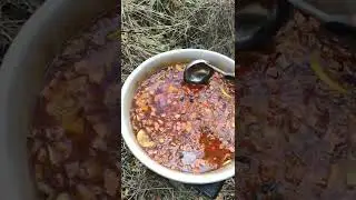 27 октября 2022 г.