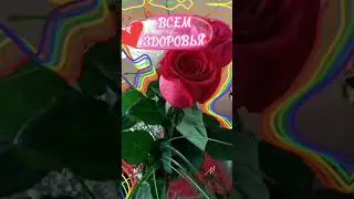 🌄 Поверните лицо к солнцу и все тени останутся позади.. Доброе утро !