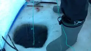 рыбалка на амуре 6.12.23