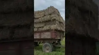 НА ОДНОМ ДЫХАНИИ 🤯