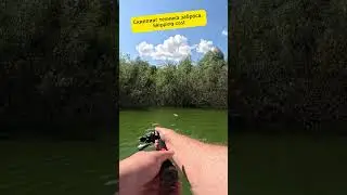 Скиппинг кастинг техника заброса. Skipping cast  #рыбалка #fishingcast #baitcaster #fishing